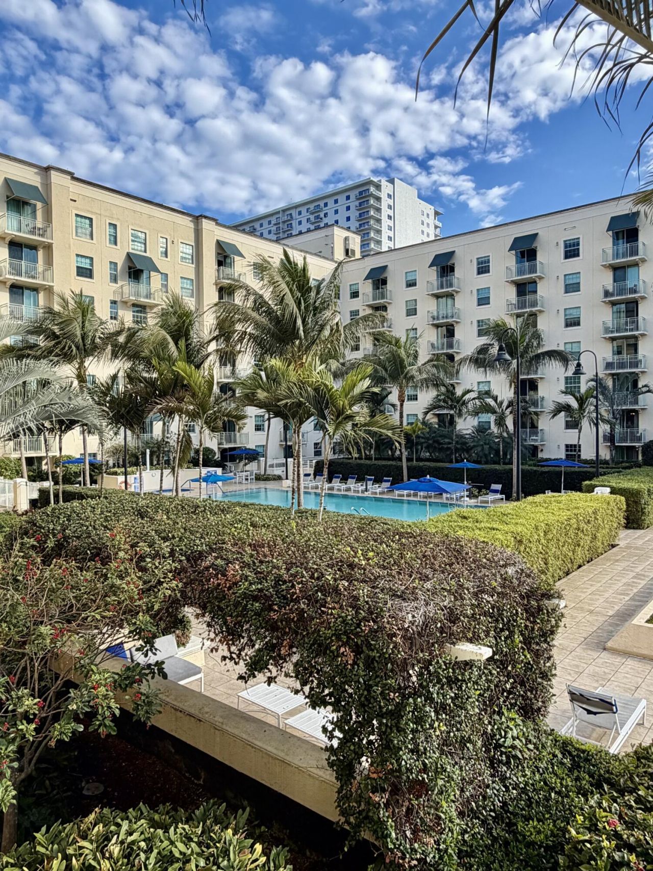 610 Clematis Street, Unit 305, West Palm Beach, FL 33401 Photo