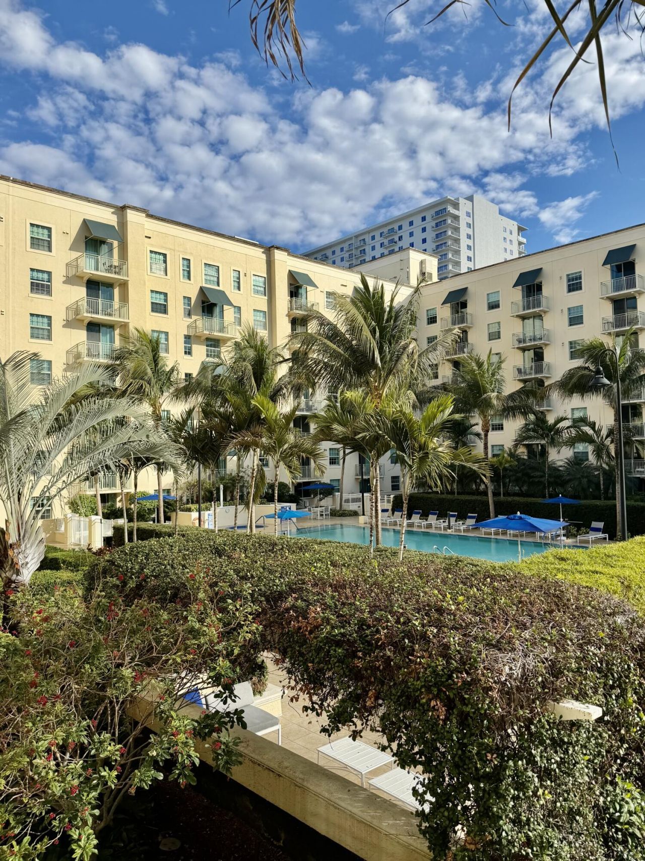 610 Clematis Street, Unit 305, West Palm Beach, FL 33401 Photo