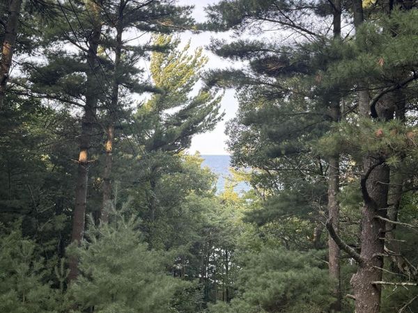 Lot G Hemlock Trail, Shelby, MI 49455