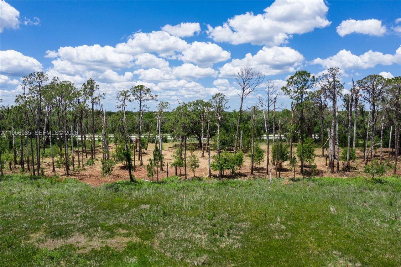 2916 Holiday Beach Dr, Avon Park, FL 33825 Photo