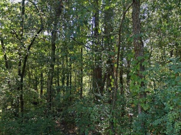 Lot 004 W Webb Avenue, Pine Bluff, AR 71602