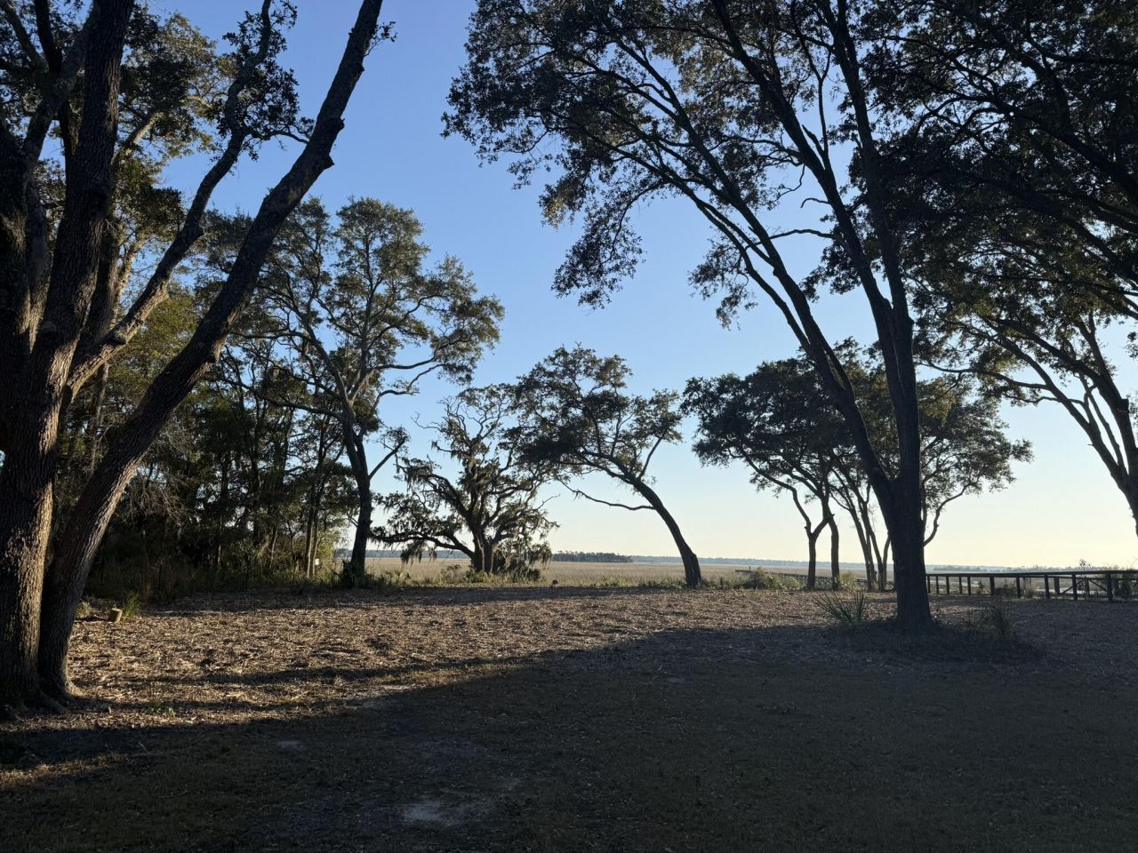 3505 Legareville Road Photo 11