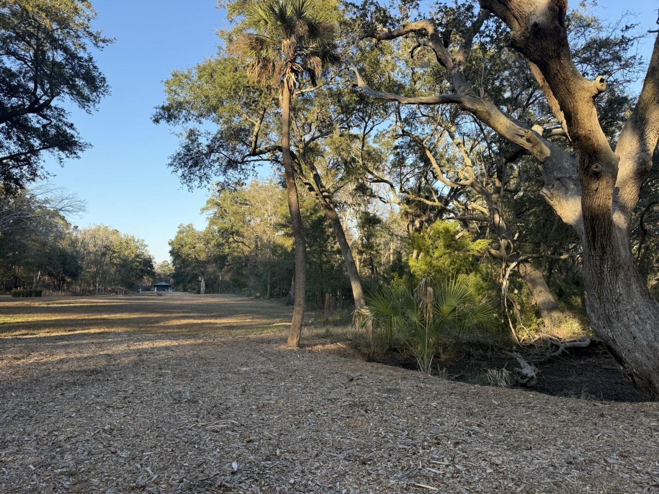 3505 Legareville Road Photo 14