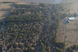 3505 Legareville Road photo 4