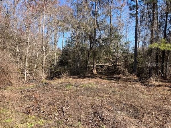 1881 HAZELNUT STREET, BUNNELL, FL 32110