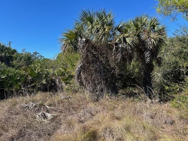 26455 & 26459 Deer Road, Punta Gorda, FL 33955 Photo