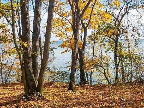 TBD Lot 19 Ni Gig Trail, Cass Lake, MN 56633