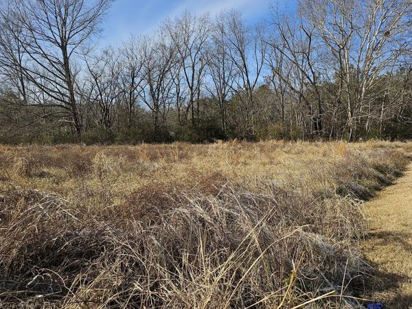 Tbd E Main Street, Woodland, NC 27897