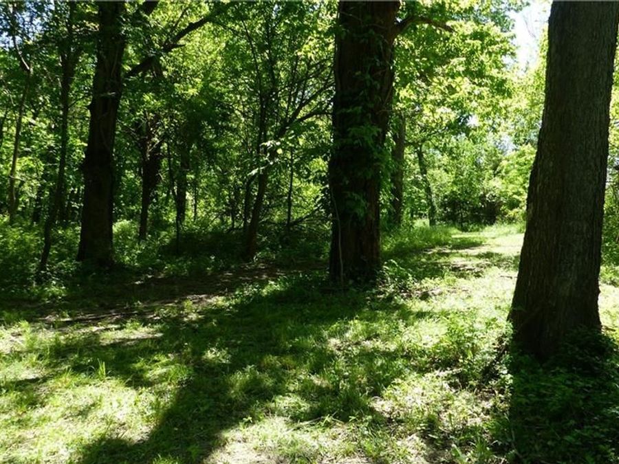 Property Image 36