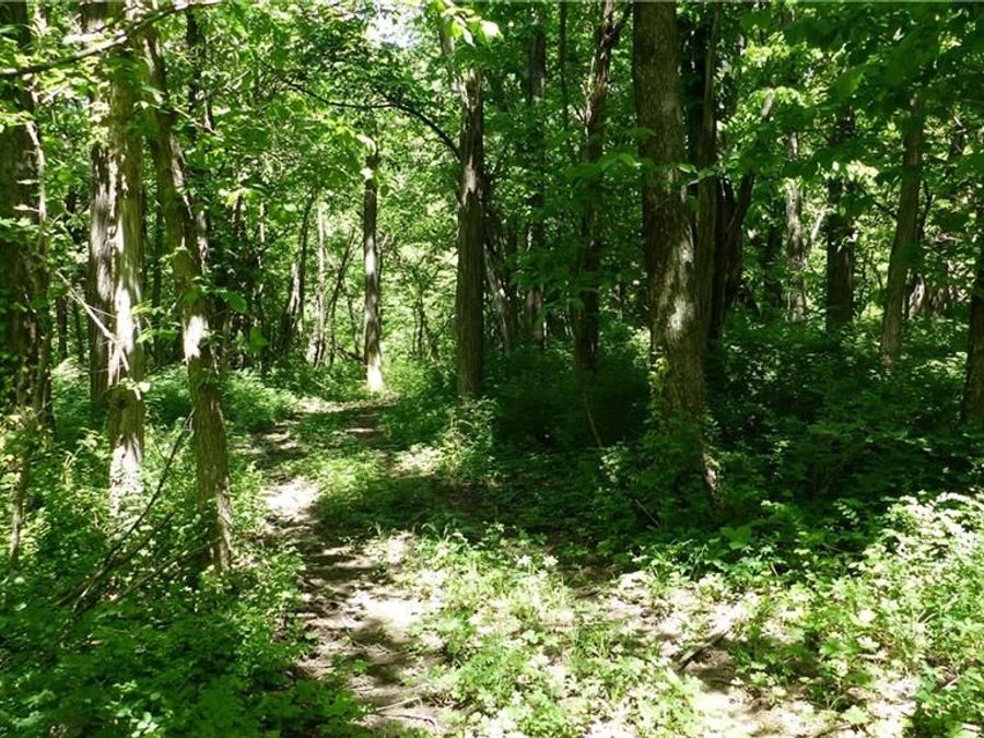 Property Image 37