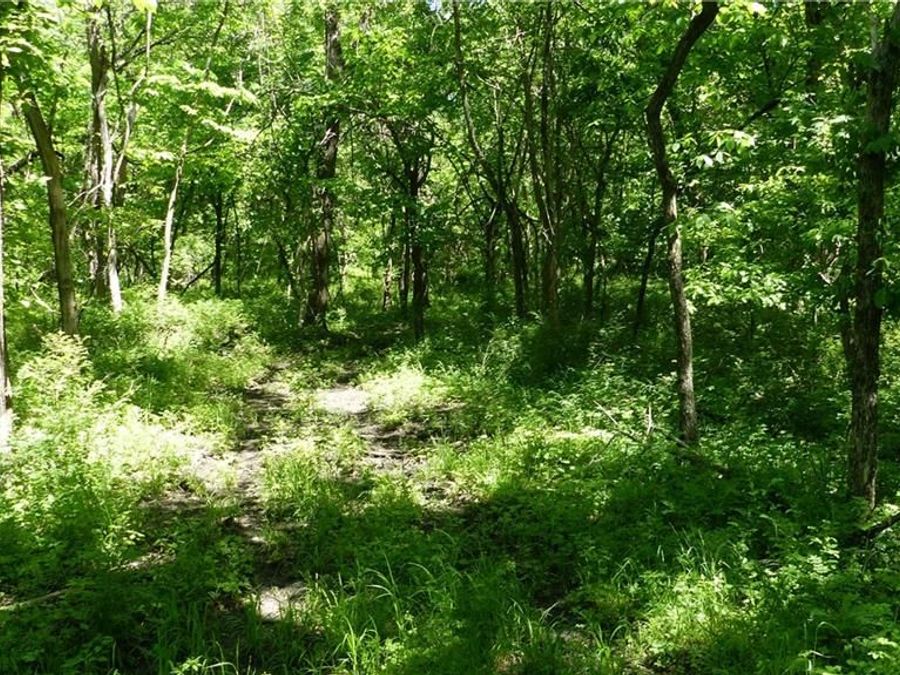 Property Image 38