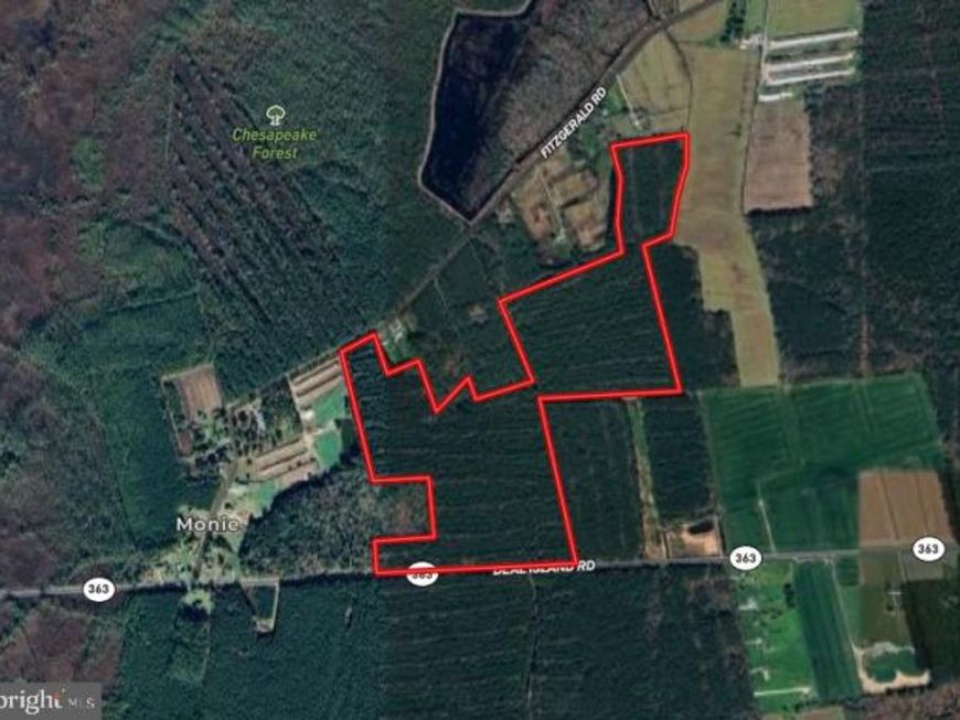 0 Fitzgerald Road, Princess Anne, MD 21853 Main Photo