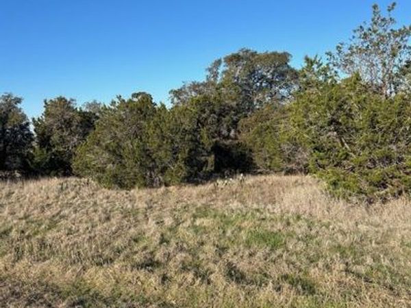 6532 Ladybank Court W, Cleburne, TX 76033