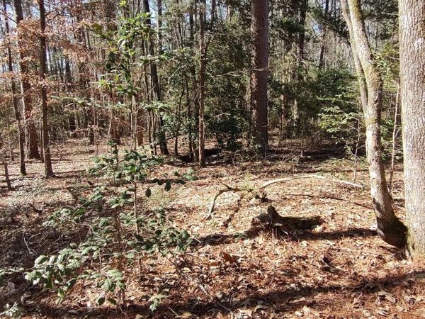 5099 Hwy 278, Chidester, AR 71726