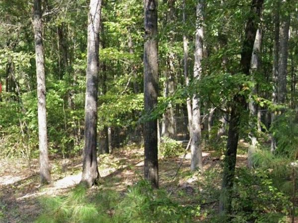 Lot 011 W Jones Avenue , Pine Bluff, AR 71602