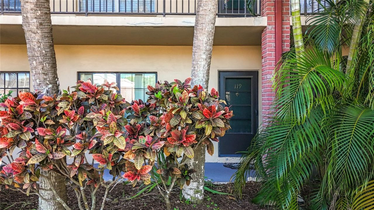 1020 85th Avenue N, Unit 119, Saint Petersburg, FL 33702 Photo