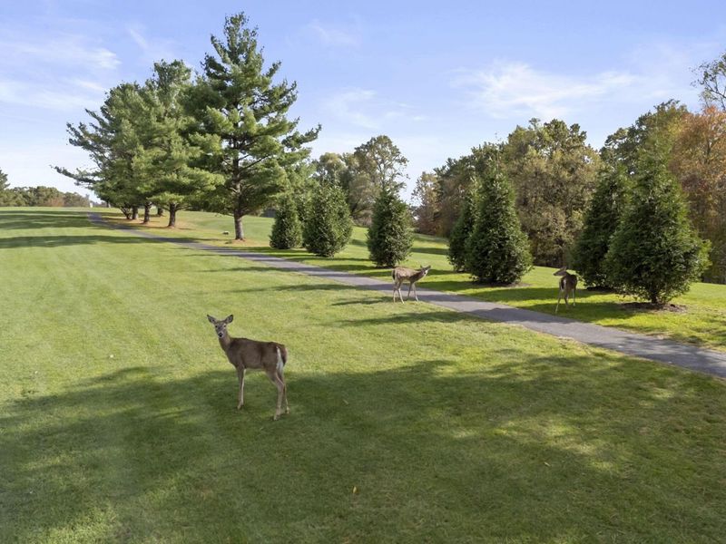 1633 Cardinal Hill Lane, Sugar Grove, OH 43155 Photo 52