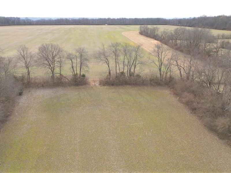 Tract 2 Adams Road, Bath Township, OH 45424 Photo 8