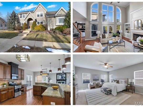 317 Lake Side View Lane, Cottleville, MO 63376