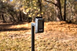 364 Cantey Lane photo 4