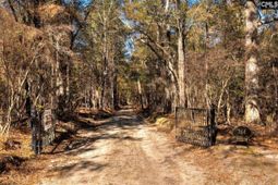 364 Cantey Lane photo 4