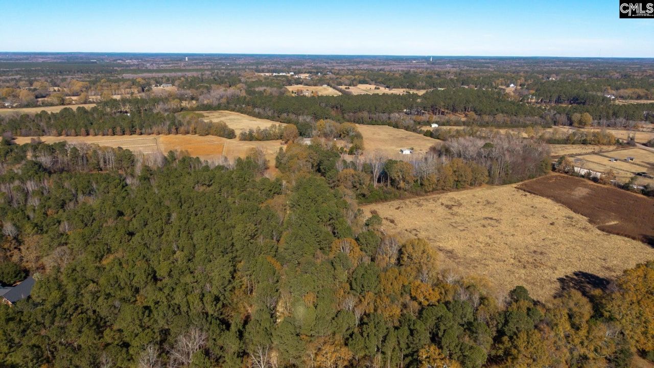 364 Cantey Lane Photo 35