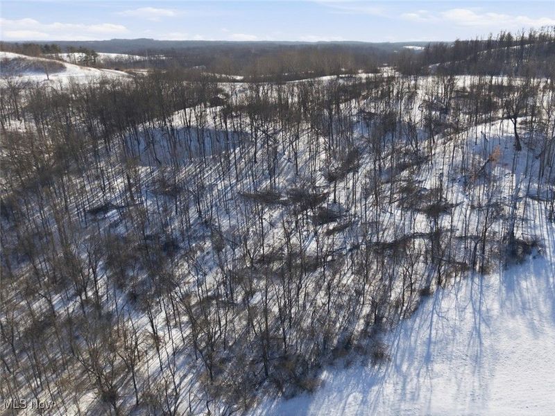 Parcel 5 State Route 376, McConnelsville, OH 43787 Photo 15