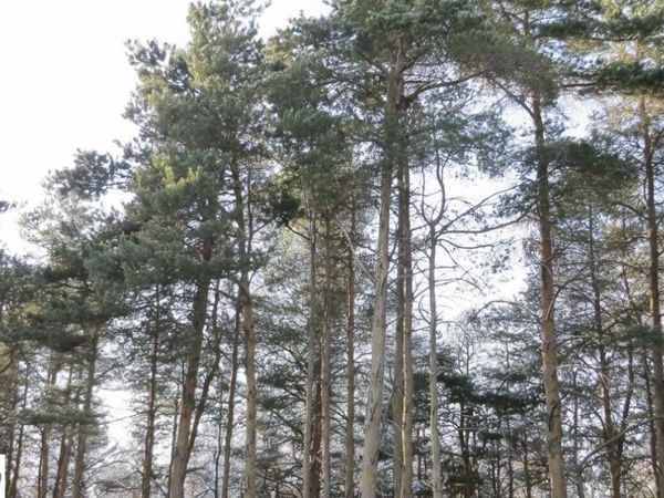 Garfield Road, Kingsley, MI 49649