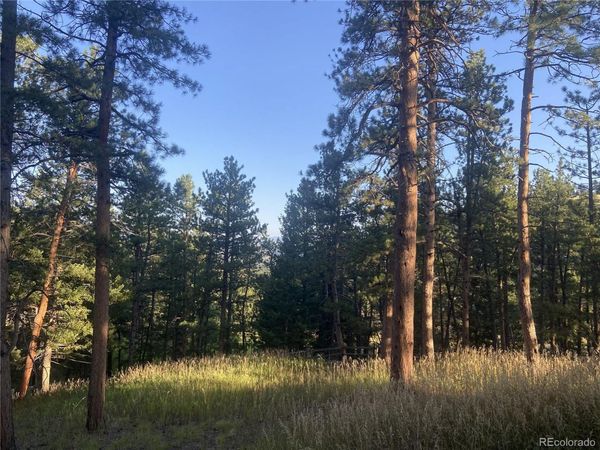 4393 Pima Road, Indian Hills, CO 80454