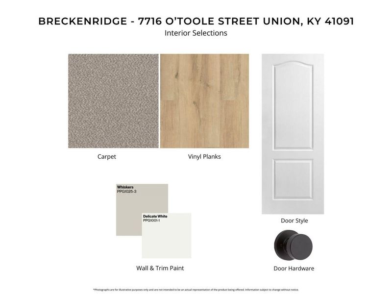 7716 O'Toole Street, Union, KY 41091 Photo 4