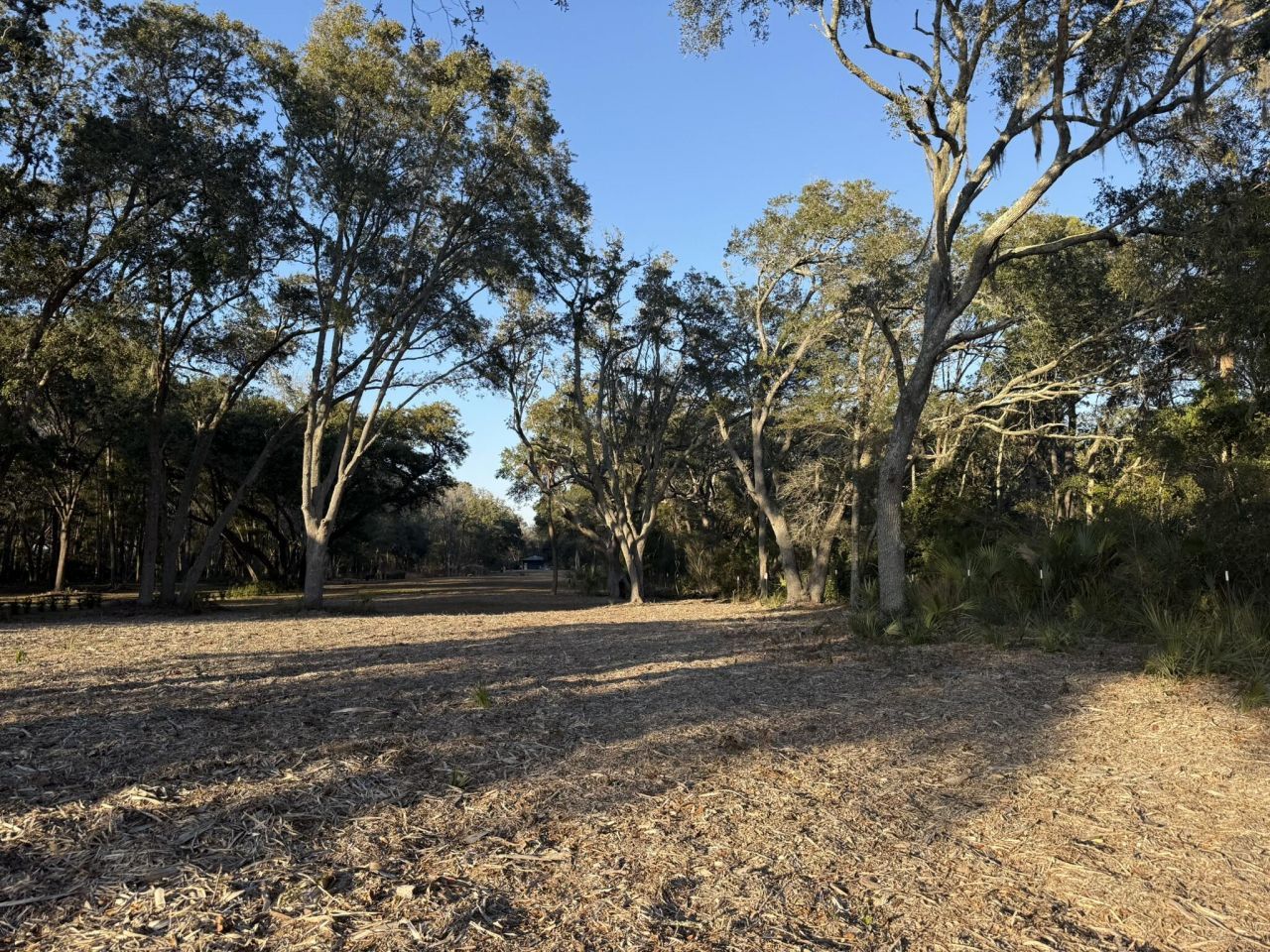 3505 Legareville Road Photo 12