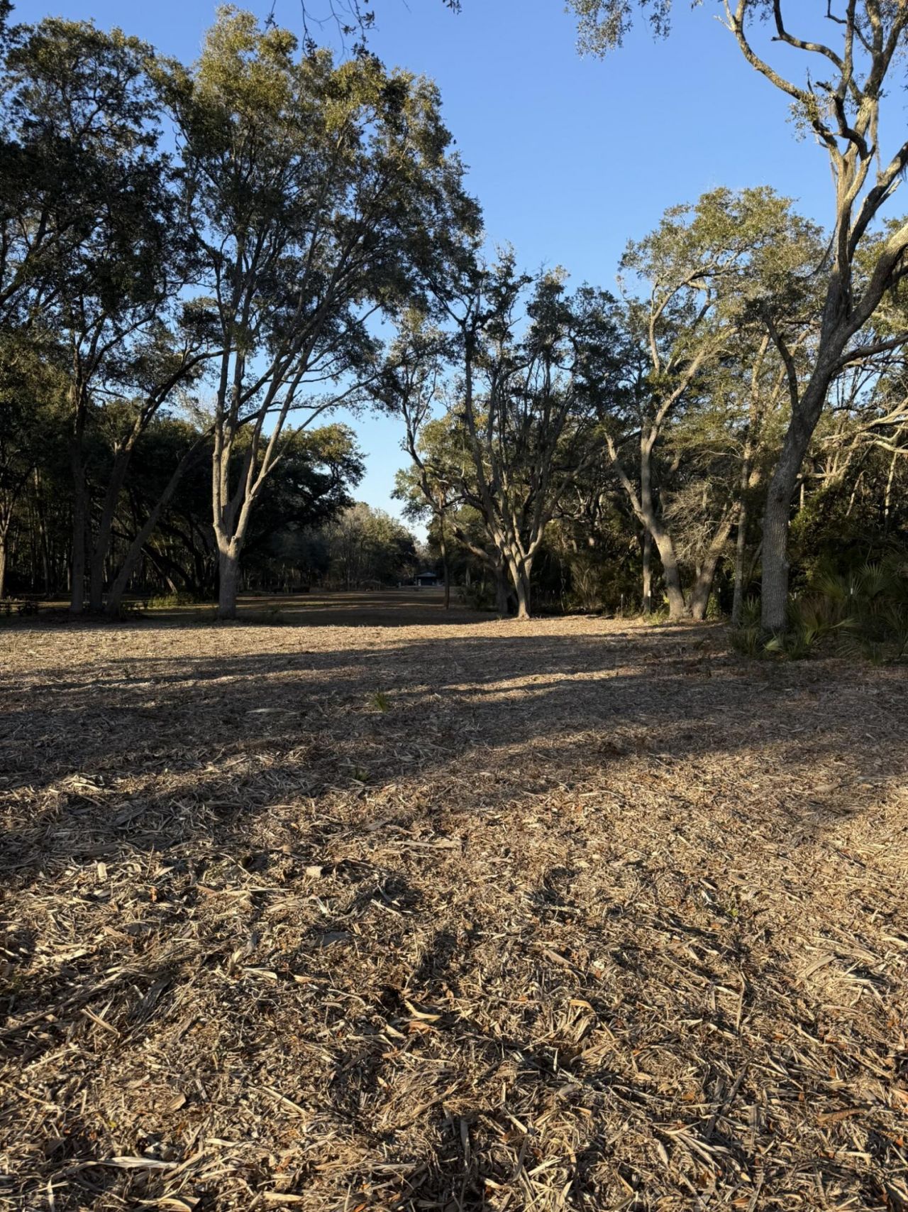 3505 Legareville Road Photo 13