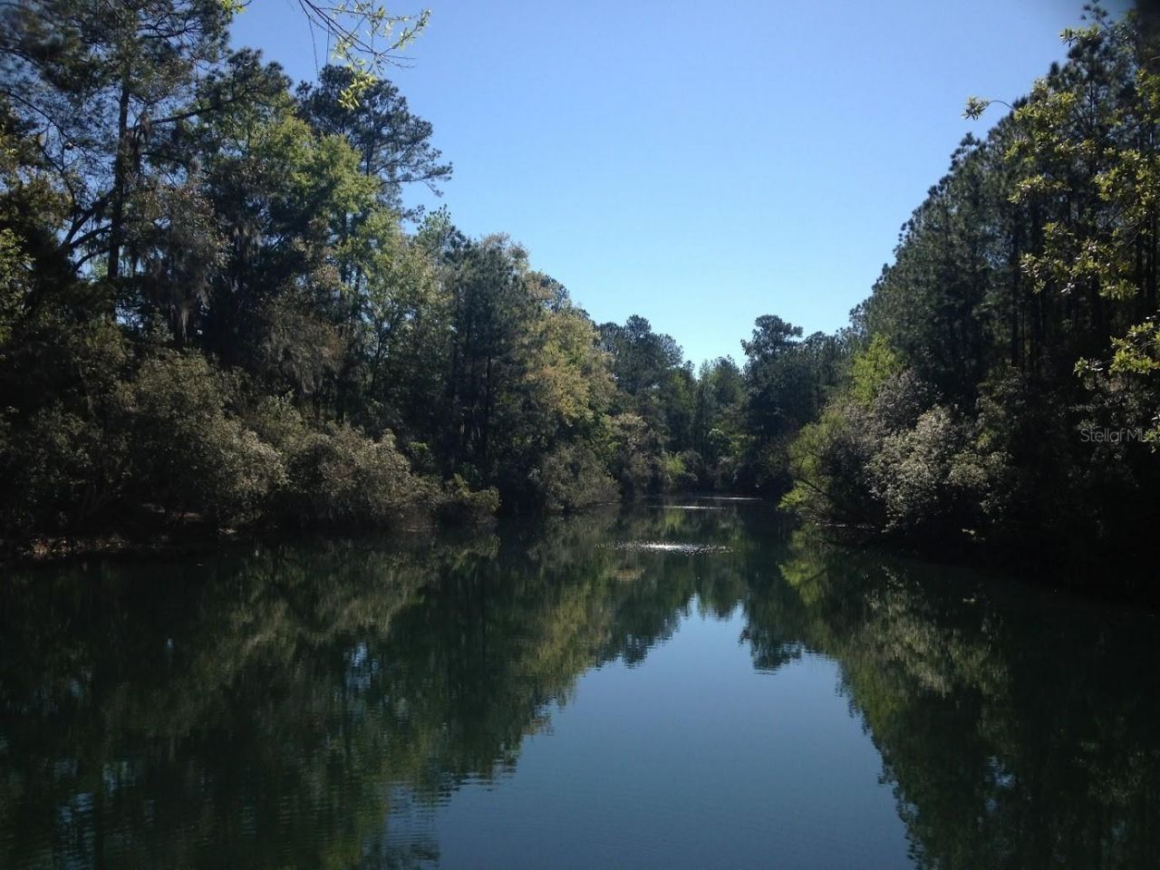 4705 NW 58th Street, Gainesville, FL 32653 Photo