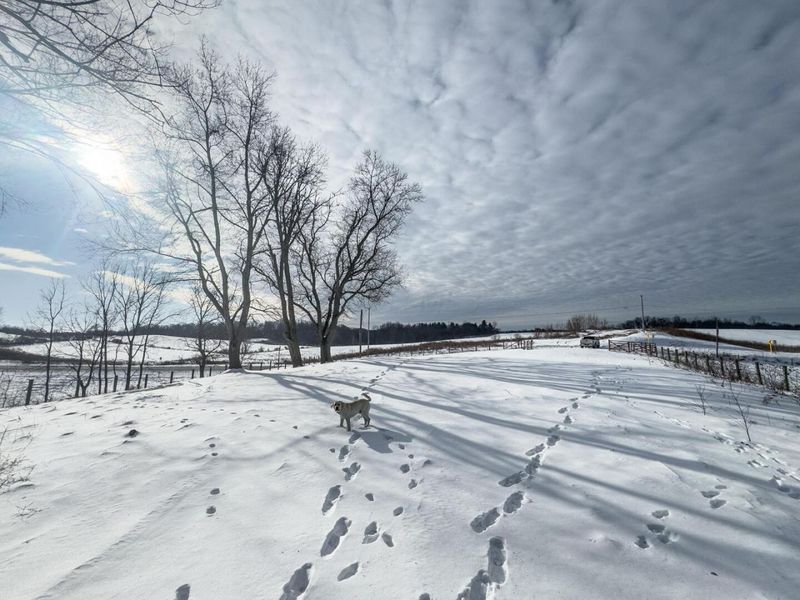 Parcel 5 Ohio 376, McConnelsville, OH 43756 Photo 9