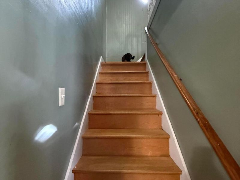 45 E Park Street, Magnetic Springs, OH 43036 Photo 10