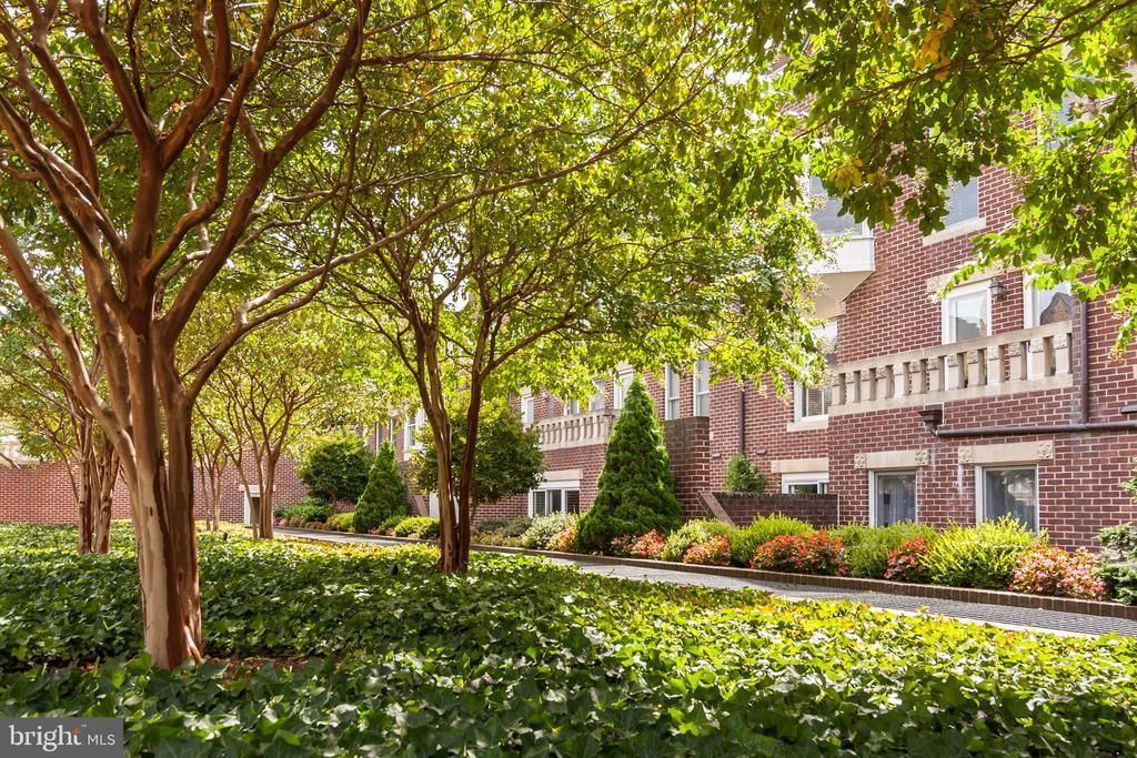 115 N Lee Street, Unit BH207, Alexandria, VA 22314 Main Photo