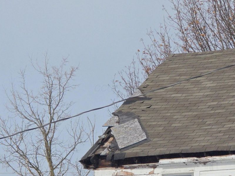 1161 Spring Avenue NE, Canton, OH 44704 Photo 19