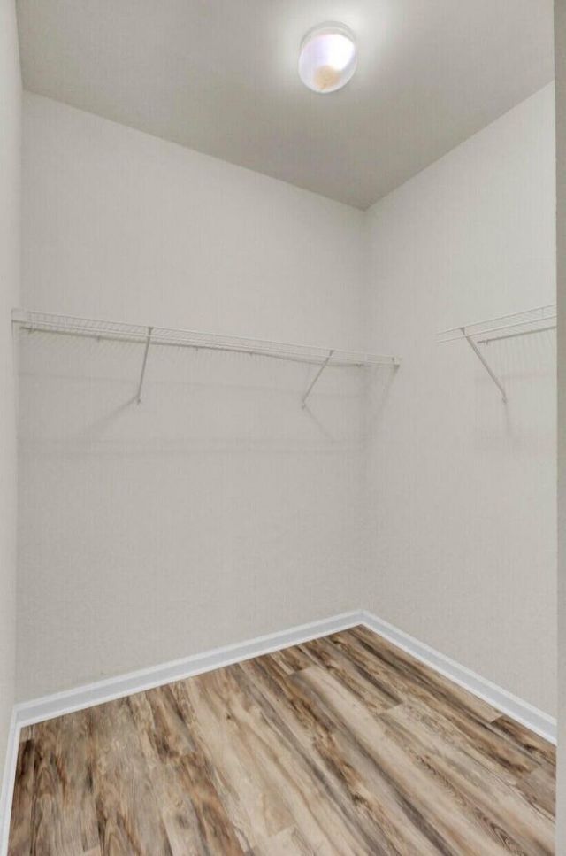 113 Black River Drive Photo 19