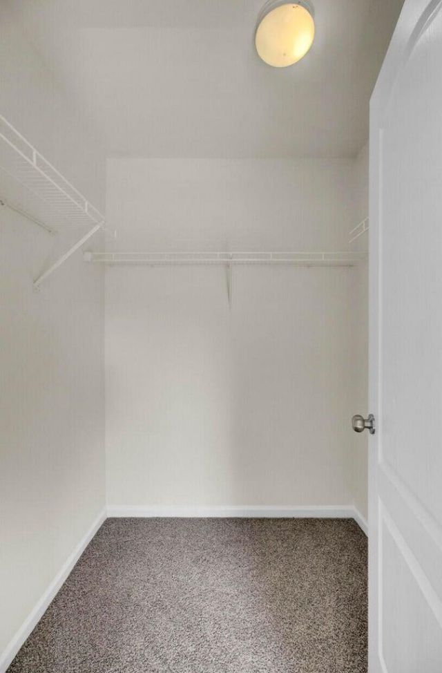 113 Black River Drive Photo 24