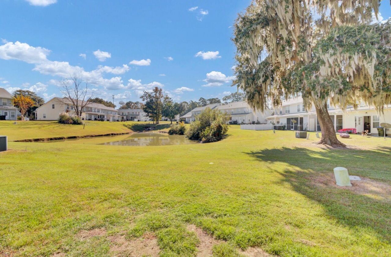 113 Black River Drive Photo 28