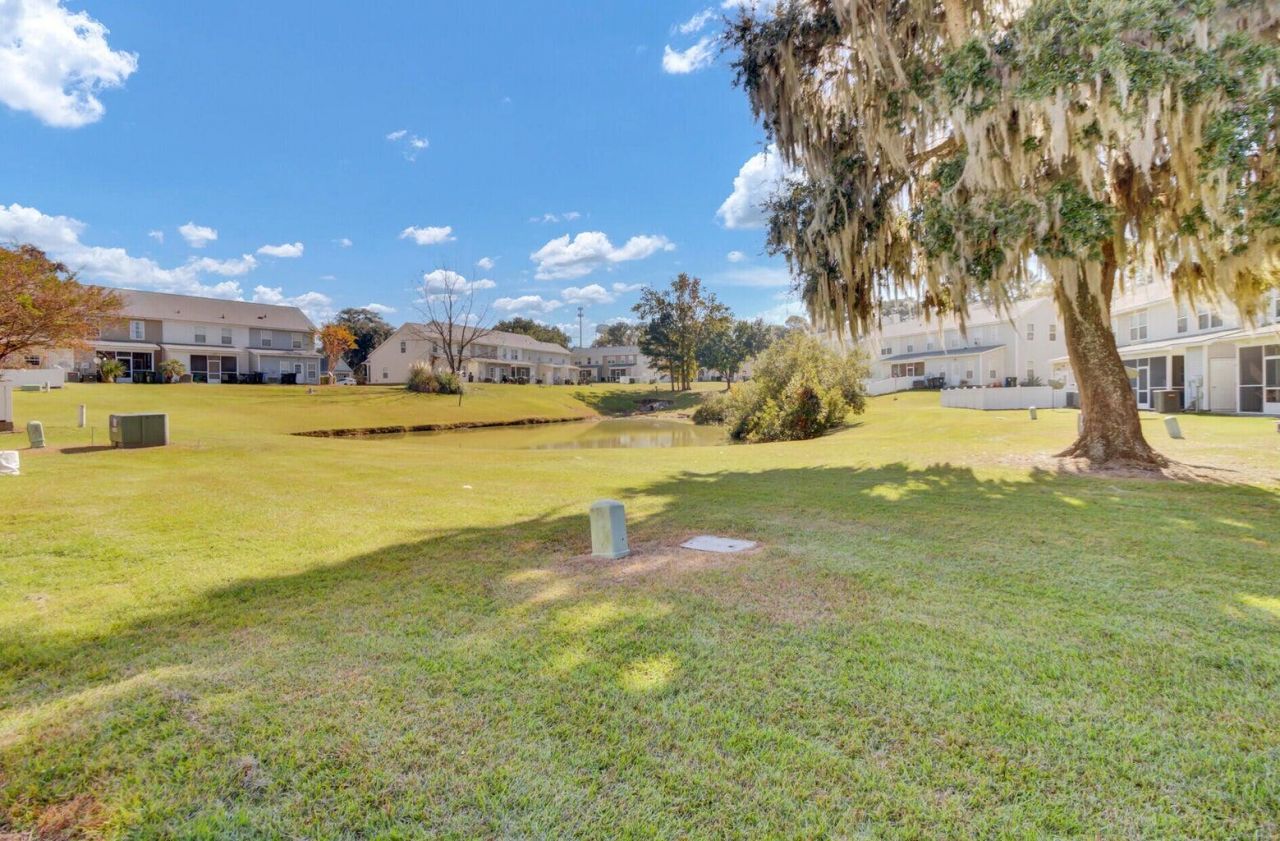 113 Black River Drive Photo 29