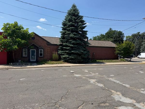 177 S Benson Street, White Cloud, MI 49349