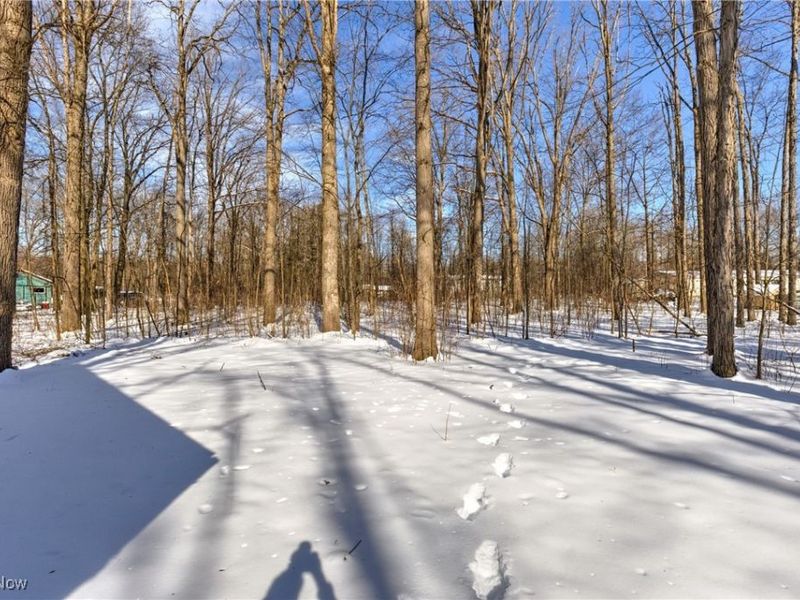 4544 Lakeview Road, West Farmington, OH 44491 Photo 19