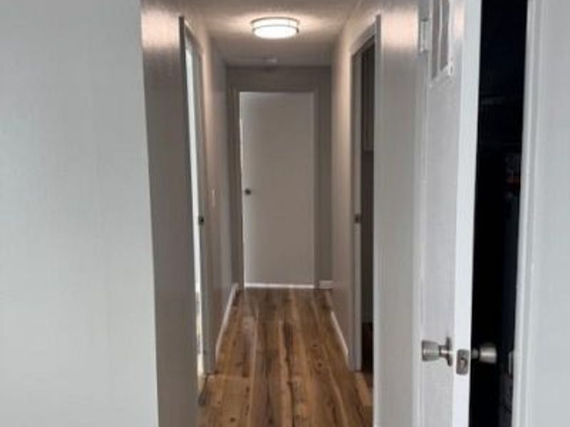 216 Braun Street, New Carlisle, OH 45344 Photo 7