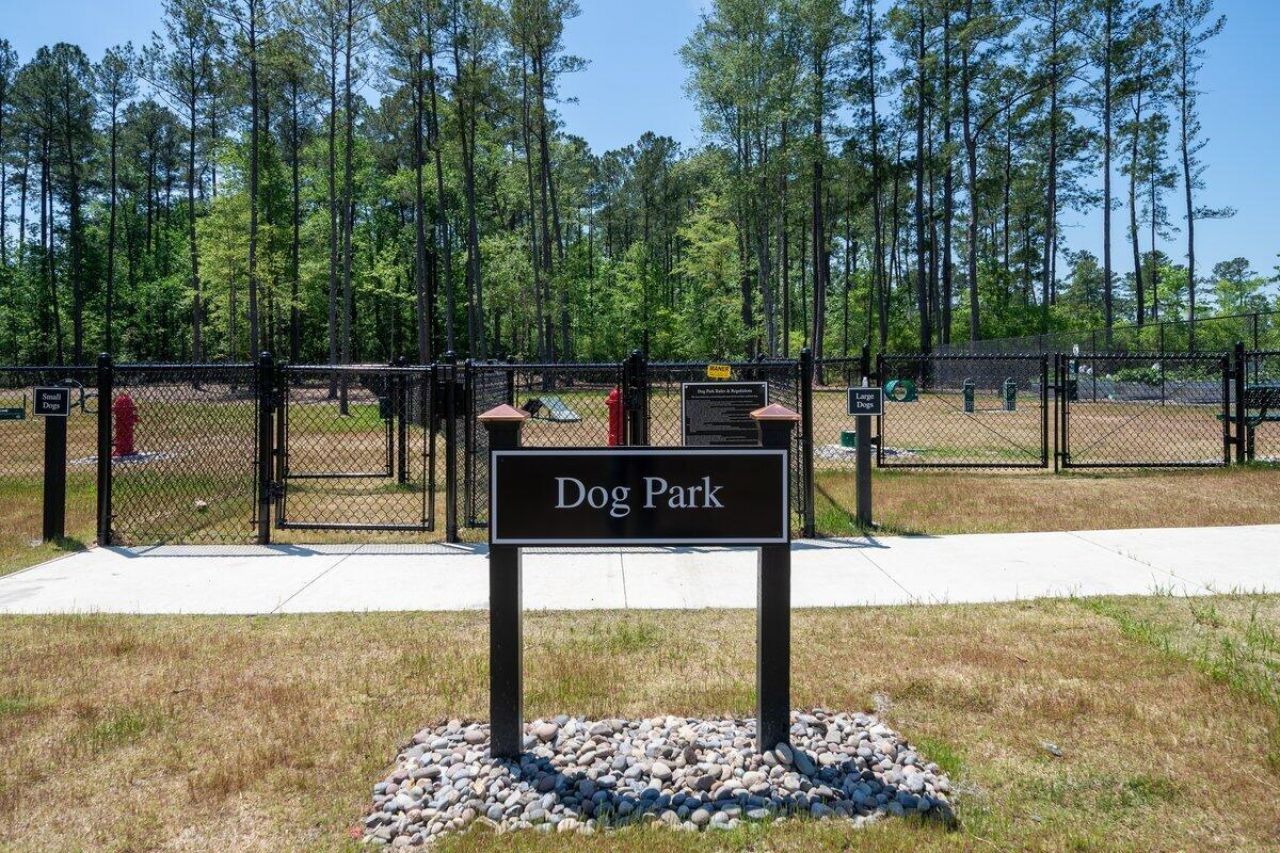 440 Switchgrass Drive Photo 47