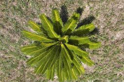 112 Village Ct. photo 4