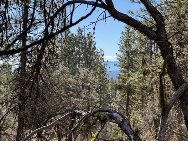 0 Chamois Circle, Unit 1, Bonanza, OR 97623