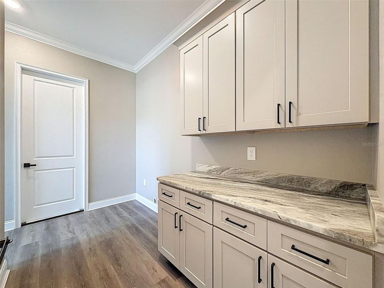 2407 Old Medulla Road, Lakeland, FL 33811 Photo