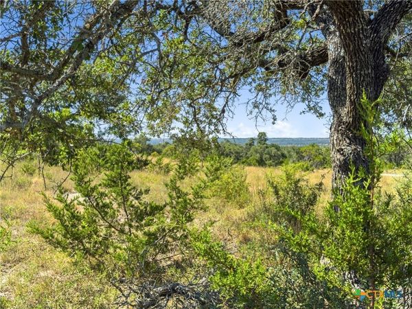 820 Stone Ridge Mountain Drive, Round Mountain, TX 78663