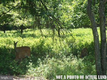 D2040 STONEY MOUNTAIN ROAD, ALBRIGHTSVILLE, PA 18210